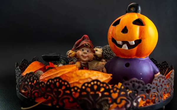 Halloween Őszi Dekoráció Aranyos Kis Törpe Sütőtök Fej Narancssárga Színű — Stock Fotó