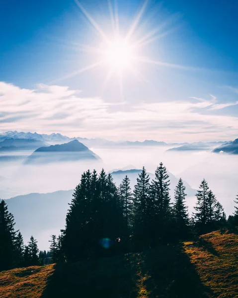 aerial Point of interest shot of pine tree with beautiful mountain scenery covered in fog with lake swiss alps rigi, sun shining directly in camera