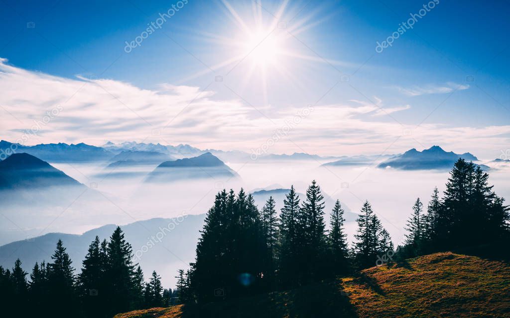 aerial Point of interest shot of pine tree with beautiful mountain scenery covered in fog with lake swiss alps rigi, sun shining directly in camera