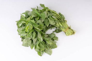 Beyaz zemin üzerine yeşil ıspanak bağlı