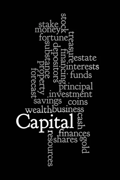Capital Word Cloud Бизнес Концепция — стоковое фото