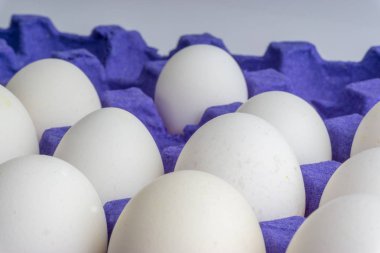 Beyaz yumurta closeup seçici odak ve kırpma parçası ile yumurta tepsisinde