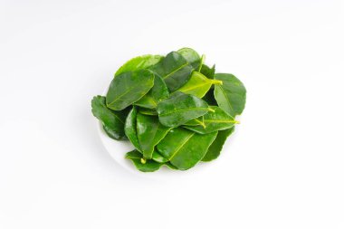 Beyaz arka plan üzerinde izole yaprak (Daun limau purut) Güney Afrika'da bir kabile kireç