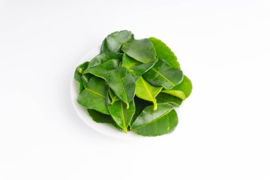 Beyaz arka plan üzerinde izole yaprak (Daun limau purut) Güney Afrika'da bir kabile kireç