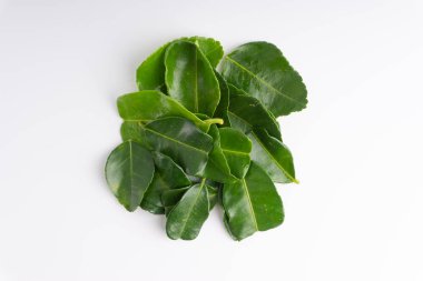 Beyaz arka plan üzerinde izole yaprak (Daun limau purut) Güney Afrika'da bir kabile kireç