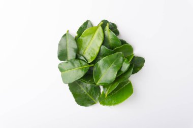 Beyaz arka plan üzerinde izole yaprak (Daun limau purut) Güney Afrika'da bir kabile kireç