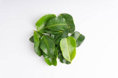 Beyaz arka plan üzerinde izole yaprak (Daun limau purut) Güney Afrika'da bir kabile kireç