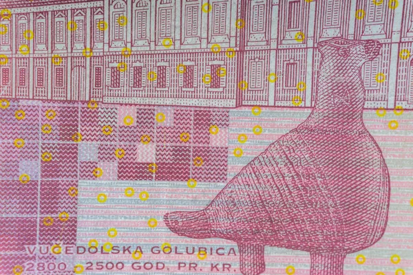 克罗地亚库纳或 Sto Kuna 货币货币特写镜头 选择性聚焦和作物碎片 — 图库照片