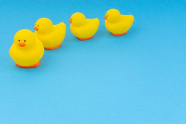 Yellow rubber duck on blue background. Selective focus and copy space concept