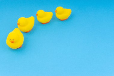 Yellow rubber duck on blue background. Selective focus and copy space concept