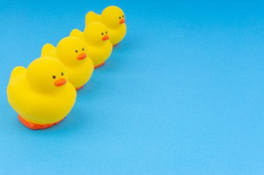 Yellow rubber duck on blue background. Selective focus and copy space concept