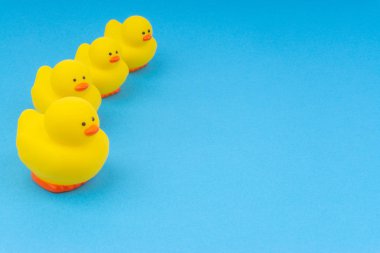 Yellow rubber duck on blue background. Selective focus and copy space concept