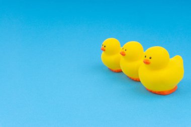 Yellow rubber duck on blue background. Selective focus and copy space concept