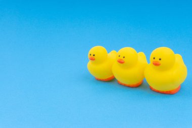 Yellow rubber duck on blue background. Selective focus and copy space concept
