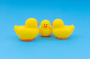 Yellow rubber duck on blue background. Selective focus and copy space concept