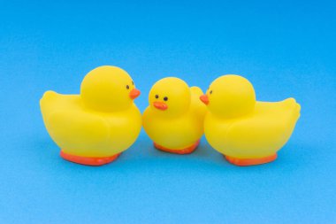 Yellow rubber duck on blue background. Selective focus and copy space concept
