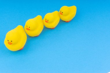 Yellow rubber duck on blue background. Selective focus and copy space concept