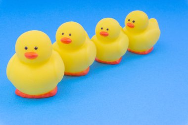 Yellow rubber duck on blue background. Selective focus and copy space concept