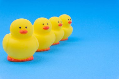 Yellow rubber duck on blue background. Selective focus and copy space concept