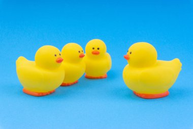 Yellow rubber duck on blue background. Selective focus and copy space concept