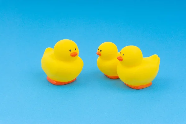 Yellow Rubber Duck Blue Background Selective Focus Copy Space Concept — ストック写真