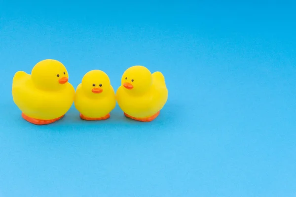 Yellow rubber duck on blue background. Selective focus and copy space concept
