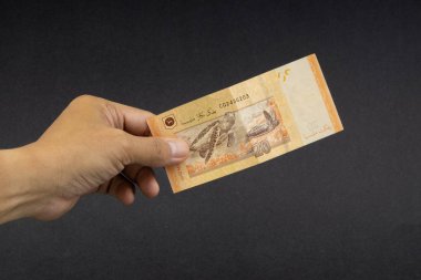 El malezya Ringgit Myr Para Banka Notları tutarak. Seçici odaklama