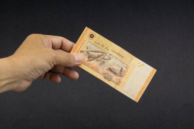 El malezya Ringgit Myr Para Banka Notları tutarak. Seçici odaklama