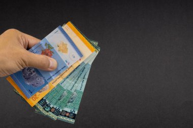 El malezya Ringgit Myr Para Banka Notları tutarak. Seçici odaklama