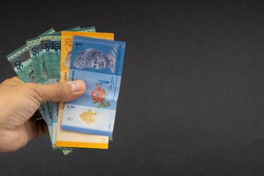 El malezya Ringgit Myr Para Banka Notları tutarak. Seçici odaklama