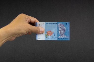 El malezya Ringgit Myr Para Banka Notları tutarak. Seçici odaklama