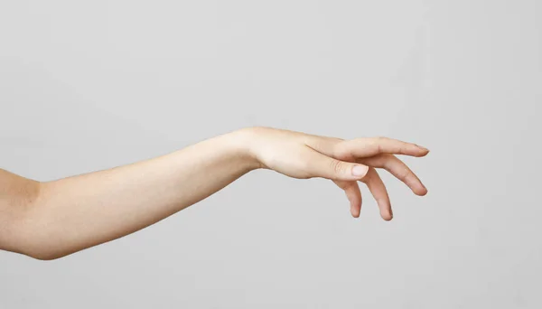 Kobiece Ręką Dotykając Szarym Tle — Zdjęcie stockowe