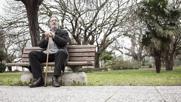 Vecchio Nel Parco — Foto Stock