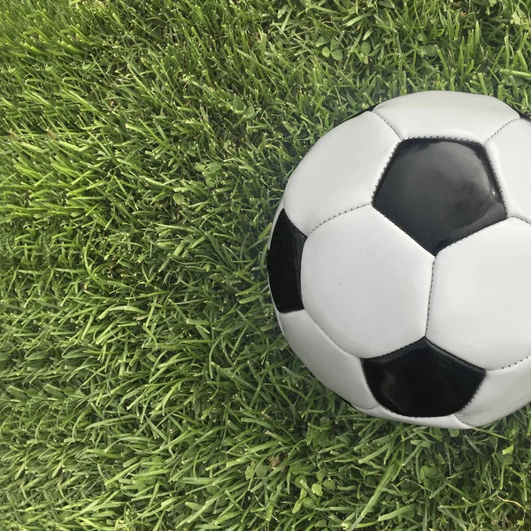 Football Soccer Grass — Stock Photo, Image