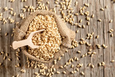 Çuval üst görünümünde buğday tohumları