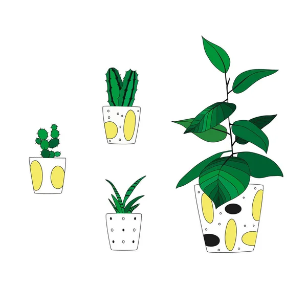 Pokojové Rostliny Květináči Bílém Pozadí Vektorová Ilustrace — Stockový vektor