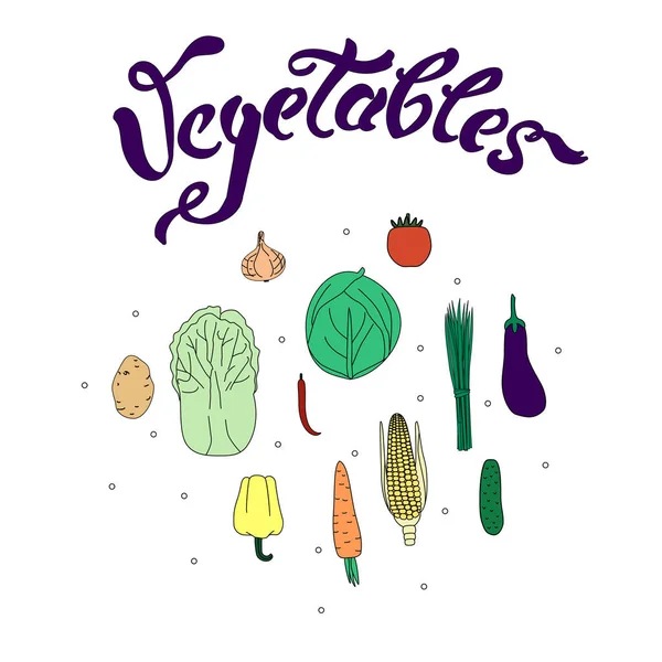 Ilustración Vectorial Con Verduras Cita Vegetales Aislados Vecror Sobre Fondo — Vector de stock