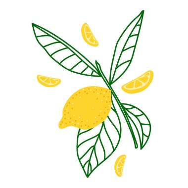 Sarı limon ile Vektör düz illüstrasyon. Beyaz arka plan üzerine el çizilmiş limon. Baskı, tekstil, kartpostal için yaz tasarımı 