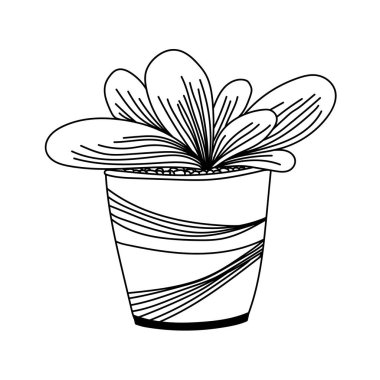 Tencerede ev bitkisi ile vektör mürekkep illüstrasyon. El çizilmiş mürekkep vektör illüstrasyon