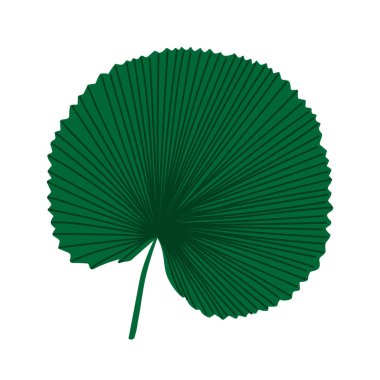 Yeşil yaprakları ile düz vektör illüstrasyon. Orman yaprakları. Tropik yapraklar. Orman yaprakları ile Düz illüstrasyon