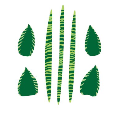 Yeşil yaprakları ile düz vektör illüstrasyon. Orman yaprakları. Tropik yapraklar. Orman yaprakları ile Düz illüstrasyon