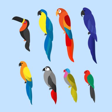 Parlak papağan seti ile düz vektör illüstrasyon. Renkli kuşlar kümesi. Toucan ve renkli papağan koleksiyonu 