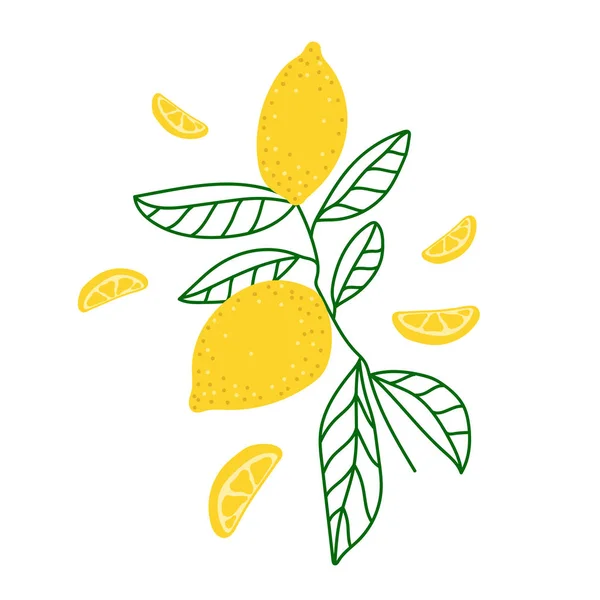 黄色のレモンとベクトルフラットイラスト 白い背景に手描きレモン プリント テキスタイル ポストカードの夏のデザイン — ストックベクタ