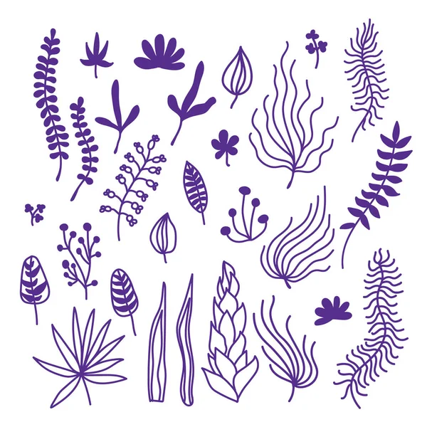Vektorová Ilustrace Doodleovými Rostlinami Rostliny Květiny Bílém Pozadí Tiskařských Rostlin — Stockový vektor