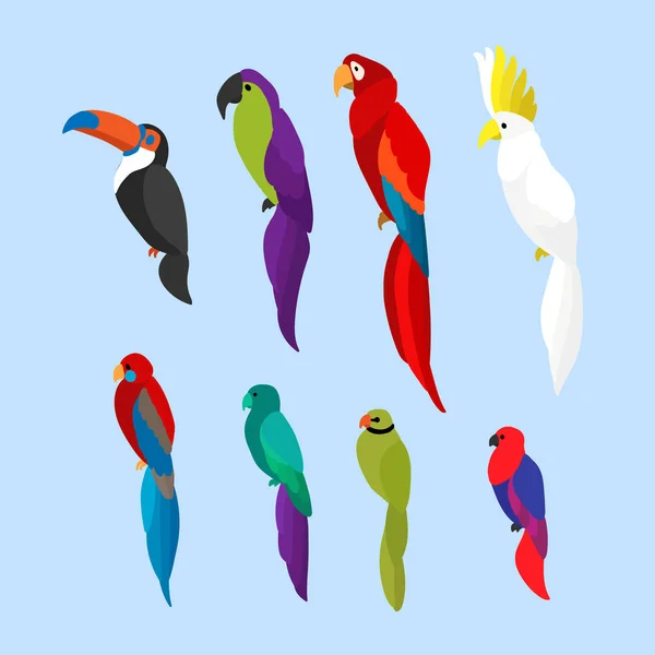 平面矢量插图与一组明亮的鹦鹉 一组彩色鸟 图坎和五颜六色的鹦鹉的集合 — 图库矢量图片
