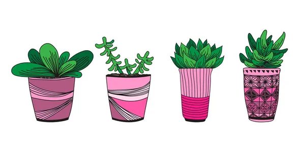 Ilustração Desenhada Mão Vetorial Com Plantas Caseiras Vasos Design Colorido — Vetor de Stock