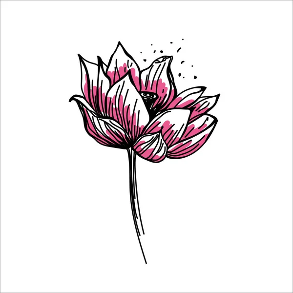 Vektorová Tisková Barva Ilustrace Lotus Květinami Ruka Inkoustem Nakreslena Květinami — Stockový vektor
