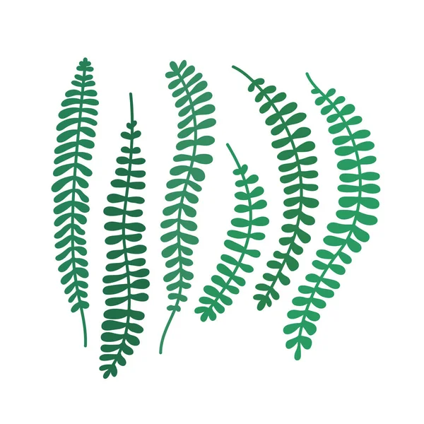 Platte Vector Illustratie Met Groene Bladeren Jungle Bladeren Tropische Bladeren — Stockvector