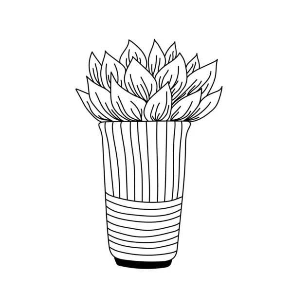 Ilustração Tinta Vetorial Com Planta Caseira Vasos Ilustração Vetor Tinta —  Vetores de Stock