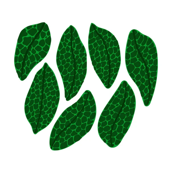 Platte Vector Illustratie Met Groene Bladeren Jungle Bladeren Tropische Bladeren — Stockvector